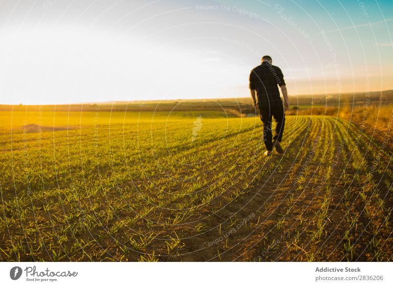 Man walking on sunny field Field Joy Summer Freedom Nature Action Human being Youth (Young adults) Meadow Grass Energy Green Lifestyle Running enjoying