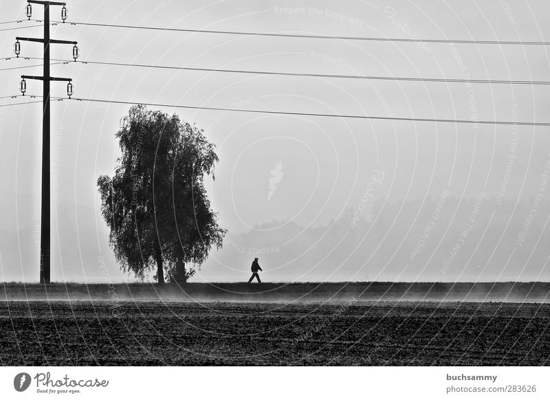 Lonely Wanderer Cable Energy industry Human being Masculine Man Adults 1 Nature Autumn Fog Tree Field Going Walking Hiking Thin Gray Black Emotions Moody 2012