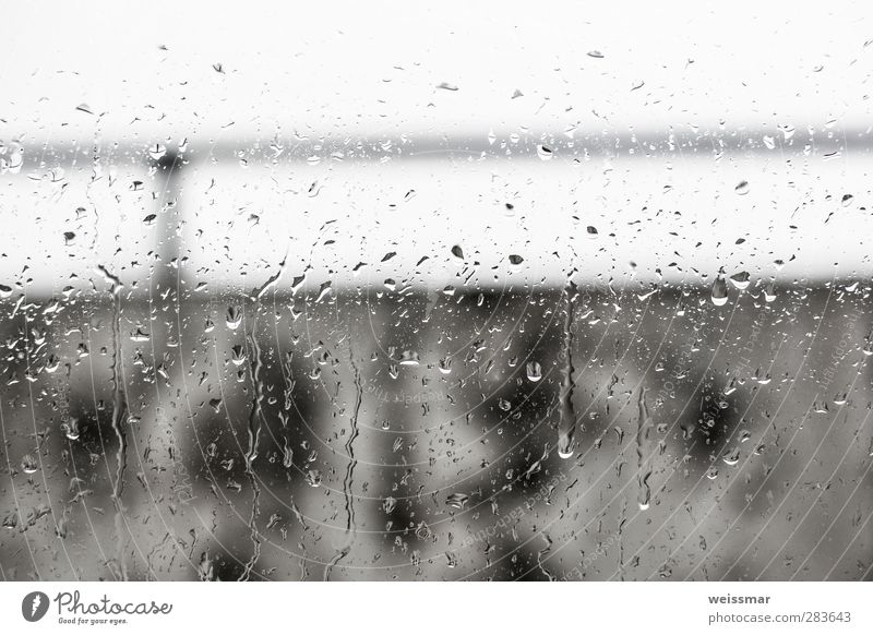 rainy look Water Weather Bad weather Rain Cottbus Deserted Dark Cold Wet Gloomy Town Gray White Subdued colour Exterior shot Interior shot Day Light Contrast