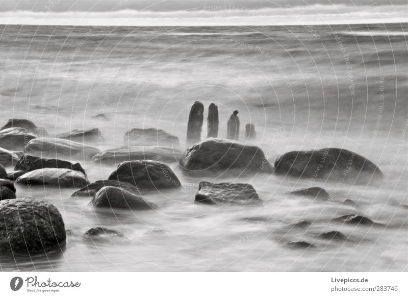 wild coast Environment Nature Landscape Water Autumn Bad weather Storm Wind Waves Coast Beach Baltic Sea Ocean Wood Wild Gray Black White Stone