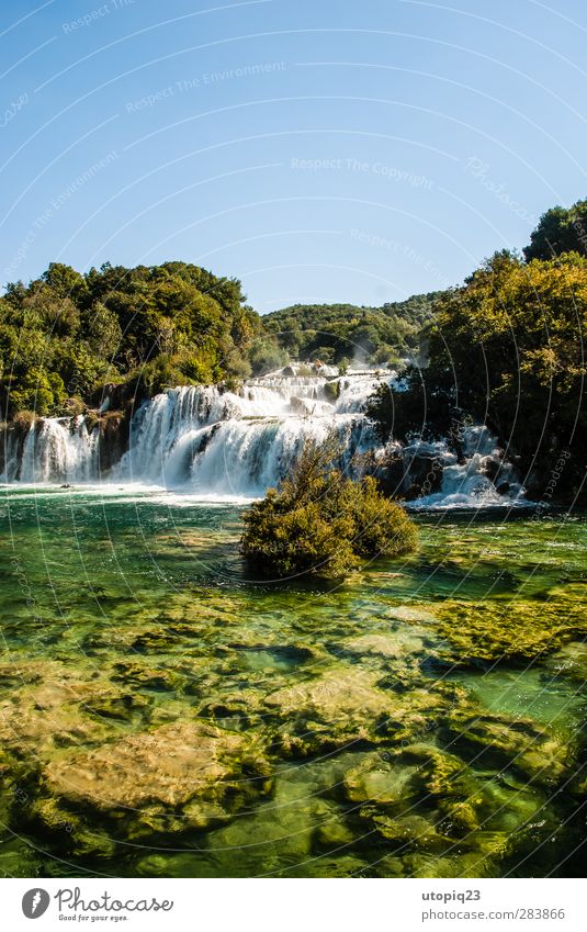Noise in the forest Nature Landscape Water Cloudless sky Spring Summer Beautiful weather Forest Waterfall Krka Power Calm Life Environment Colour photo