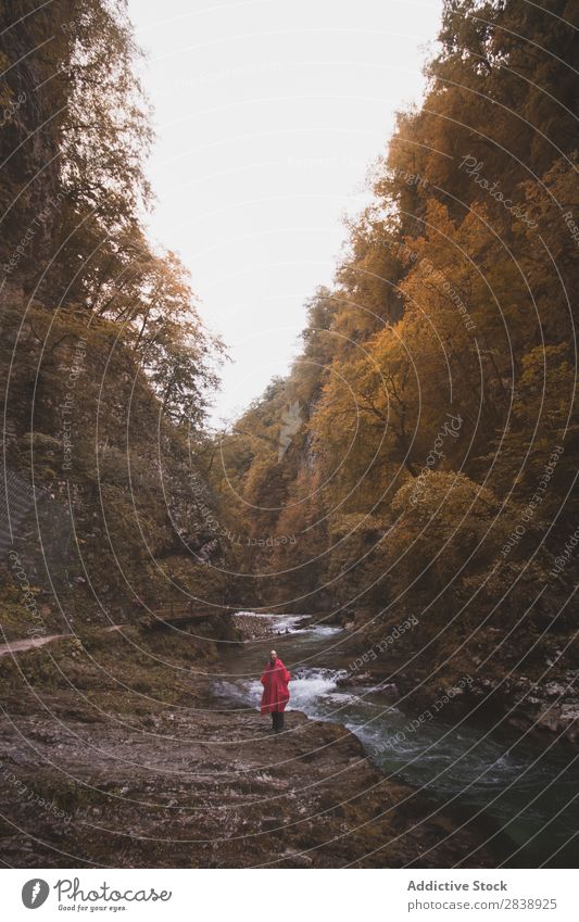 Man walking at river in forest River Mountain Forest Autumn Walking Tourist Vacation & Travel Human being Water Landscape Nature Beautiful Colour Multicoloured