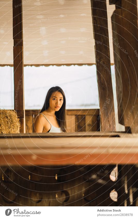 Asian woman in barn Woman asian Youth (Young adults) pretty Barn Hay Looking into the camera Farm Rural Landscape Beautiful Portrait photograph Attractive