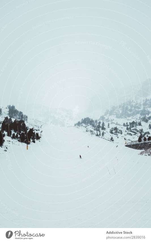 Tourists riding on snowboard Human being Snowboard Sports Winter Hill Mountain Landscape Nature White Ice Seasons Cold Vacation & Travel way Forest Frost Freeze