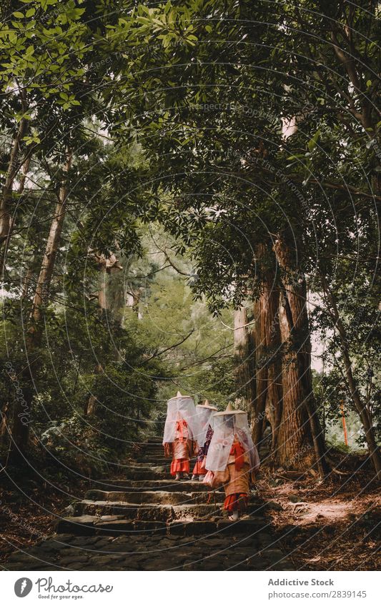 Monks walking in woods orient Forest Religion and faith Culture Park Spirituality Church service Exotic prayers Tourism Clothing Wear Structures and shapes
