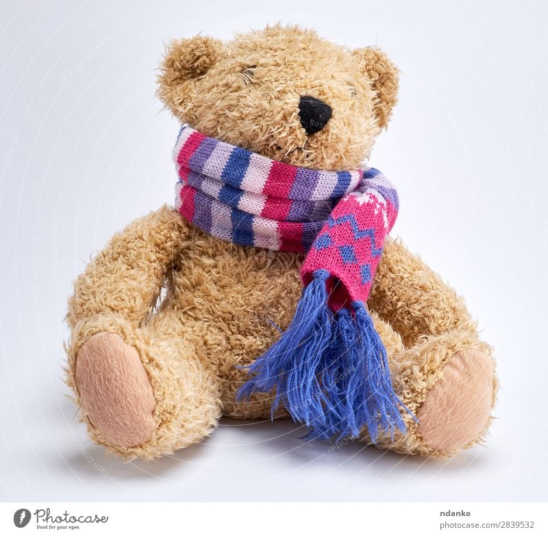 teddy bear in a knitted multi-colored scarf Joy Child Infancy Scarf Toys Doll Teddy bear Old Sit Funny Cute Retro Soft Brown Yellow White Loneliness Bear