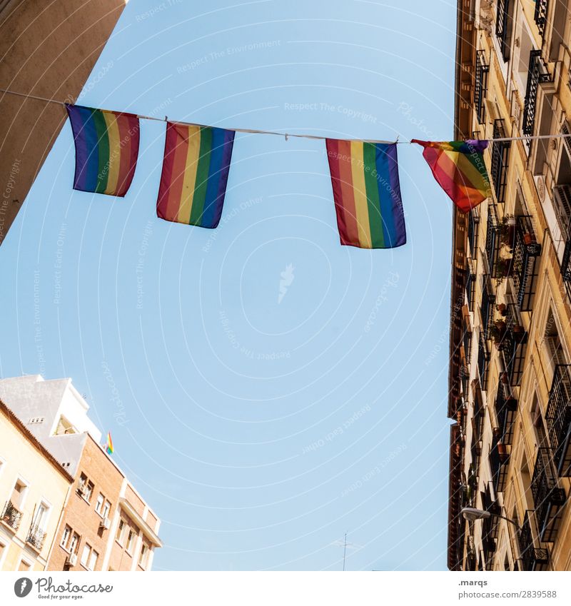 LGBT Cloudless sky Beautiful weather House (Residential Structure) Facade Housefront Sign Flag Feasts & Celebrations Sex Sexuality Christopher Street Day