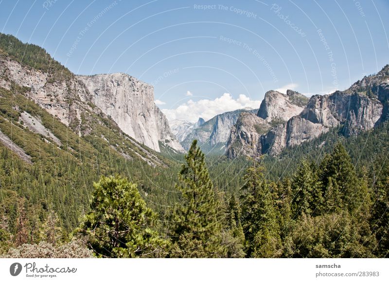 Tunnel View Nature Landscape Plant Sky Tree Forest Rock Alps Mountain Peak Canyon Hiking Far-off places Natural Beautiful Adventure Vacation & Travel