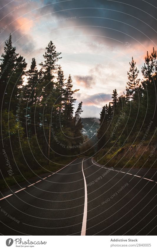 Highway in mountains and woods Landscape roadway Mountain Forest Lanes & trails Picturesque Vacation & Travel Park Street tranquil Natural Vantage point