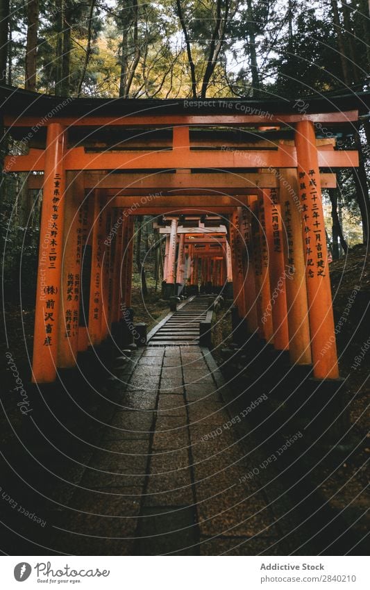 Japanese arches and path Lanes & trails Rock arch Forest Nature Landscape Asia Architecture Vacation & Travel Sightseeing Park Landmark way Gate Street Deserted