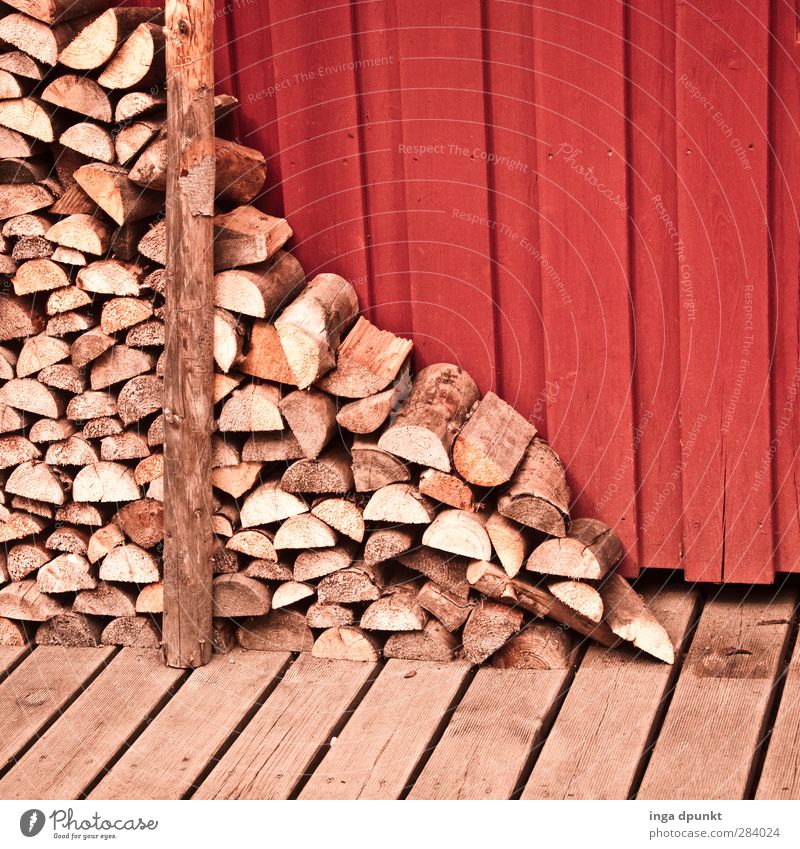 Work of a lumberjack Winter Wood Natural Heat Firewood Stack Woodcutter Supply Colour photo Exterior shot Copy Space top Day Shadow Deep depth of field