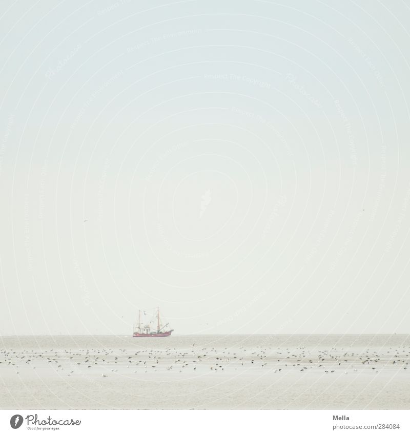 Female | The Sea Environment Nature Landscape Elements Sand Water Sky Coast North Sea Ocean Navigation Fishing boat Bird Flock Driving Swimming & Bathing Stand