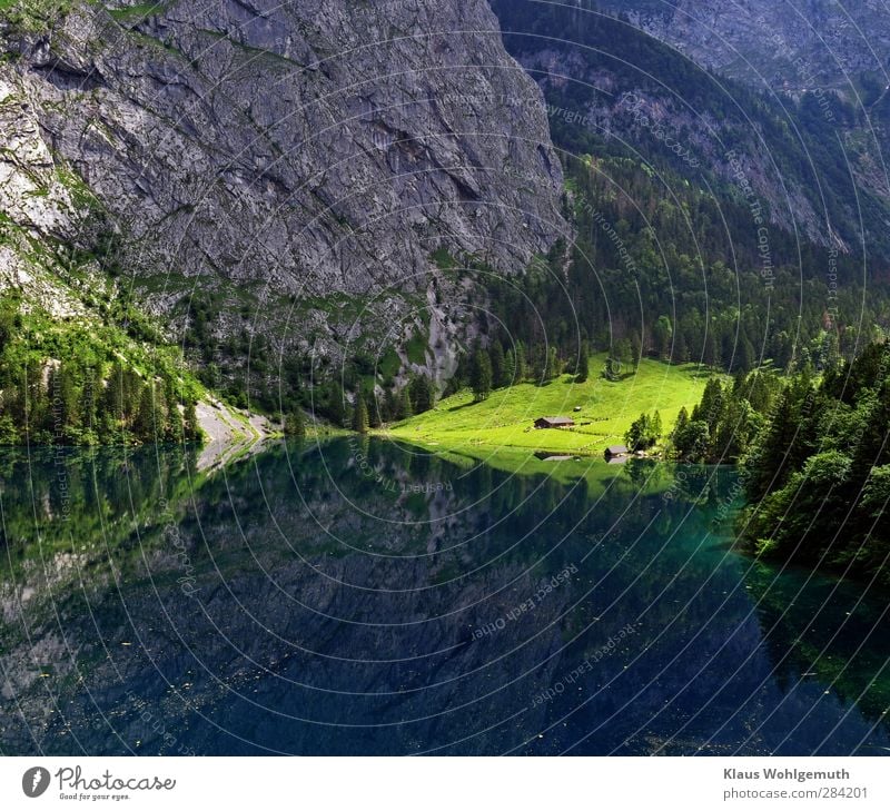 Fischunkelalm behind the Obersee is illuminated by a sunbeam. Mountains, meadows and trees are reflected in the water. Relaxation Calm Meditation Tourism