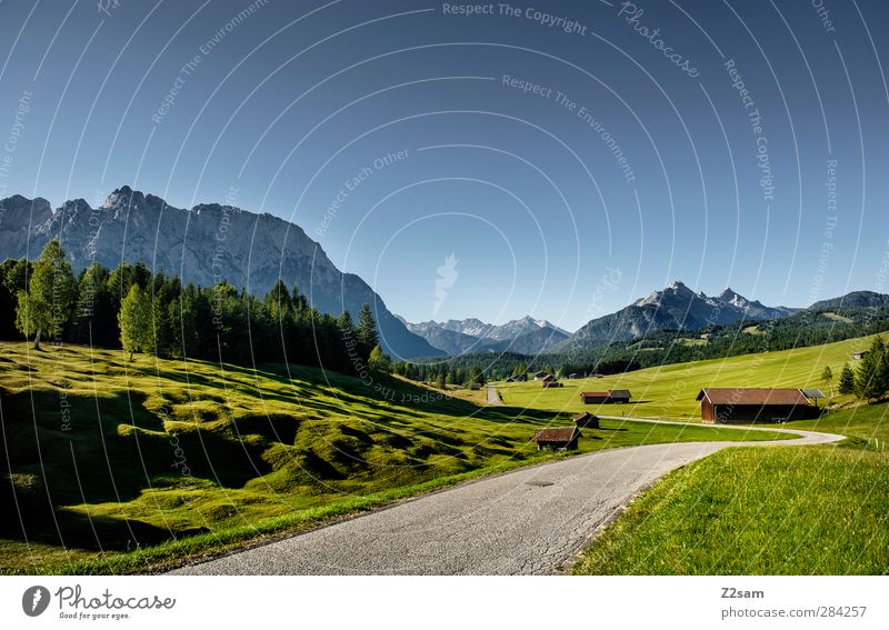 Karwendel Mountains Vacation & Travel Nature Landscape Cloudless sky Summer Beautiful weather Meadow Forest Alps Far-off places Natural Calm Loneliness