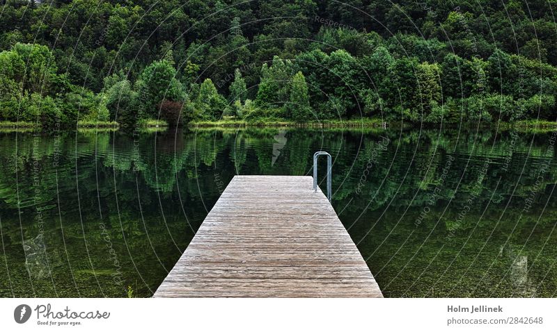Fifty Shades of Green Environment Nature Landscape Plant Water Summer Lakeside Esthetic Exceptional Positive Contentment Calm depth Bavaria Germany Colour photo