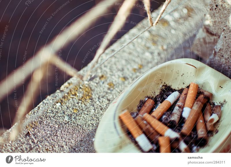 Smoking at the window Healthy Disgust Addiction Tobacco products Smoky No smoking Cigarette Ashes Cigarette Butt Ashtray Expressed Addictive behavior Window