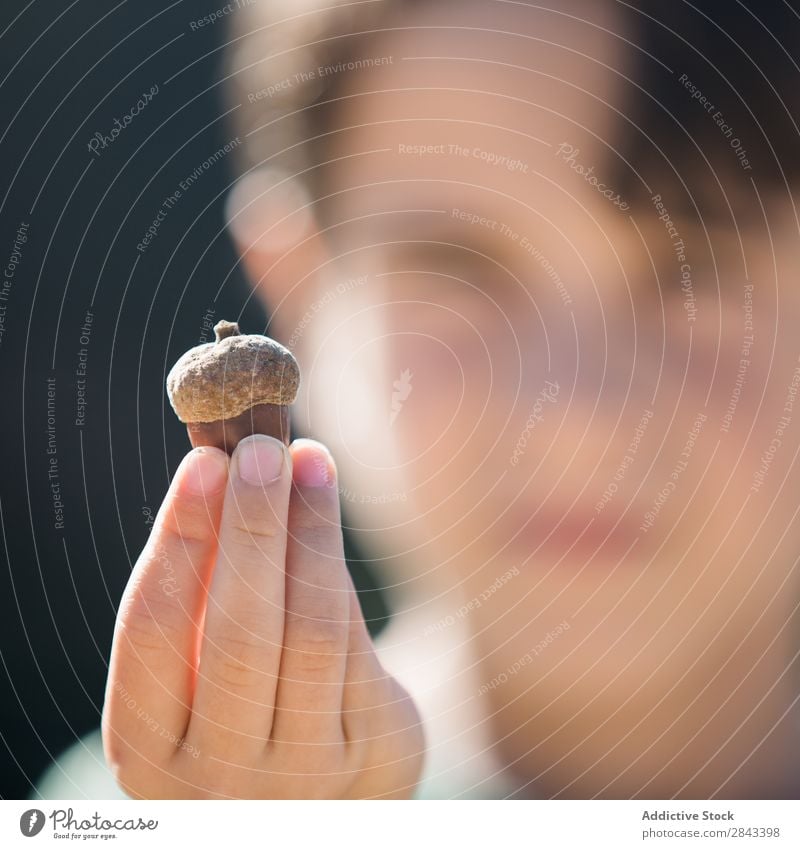 Hands holding big acorn Human being Acorn Nature Autumn Seasons Forest oak Beautiful Garden Green Nut Seed Natural Bright Multicoloured Holiday season Wood