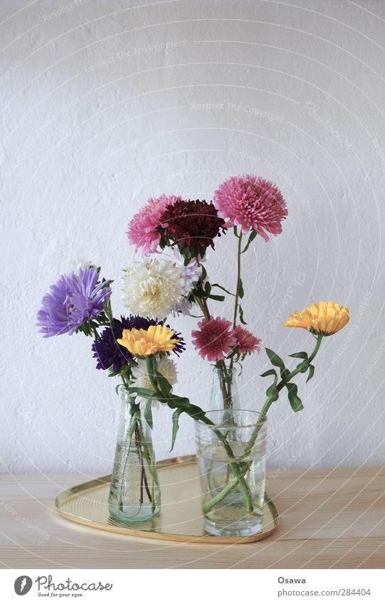 little flowers Flower Bouquet Plant Blossom Multicoloured Glass Vase Tray Wood Wall (building) Birthday Yellow Violet Pink Green Deserted