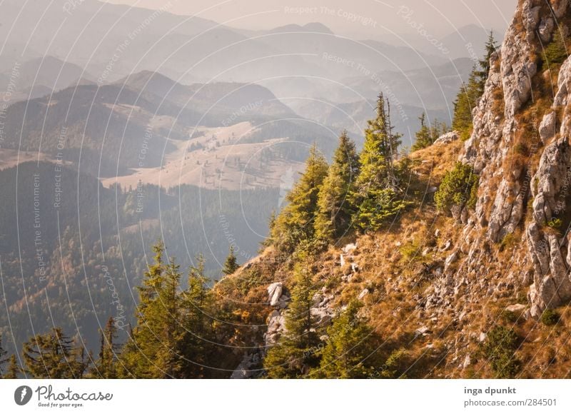 View into the distance Environment Nature Landscape Plant Autumn Beautiful weather Tree Grass Rock Forest Mountain Slope Vantage point Romania Siebenbürgen