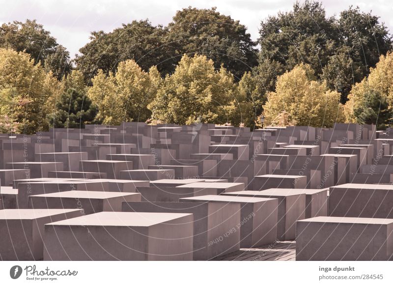 remembrance Berlin Remember Memory Monument Holocaust memorial Grief Germany Colour photo Exterior shot Deserted Day Sunlight Deep depth of field