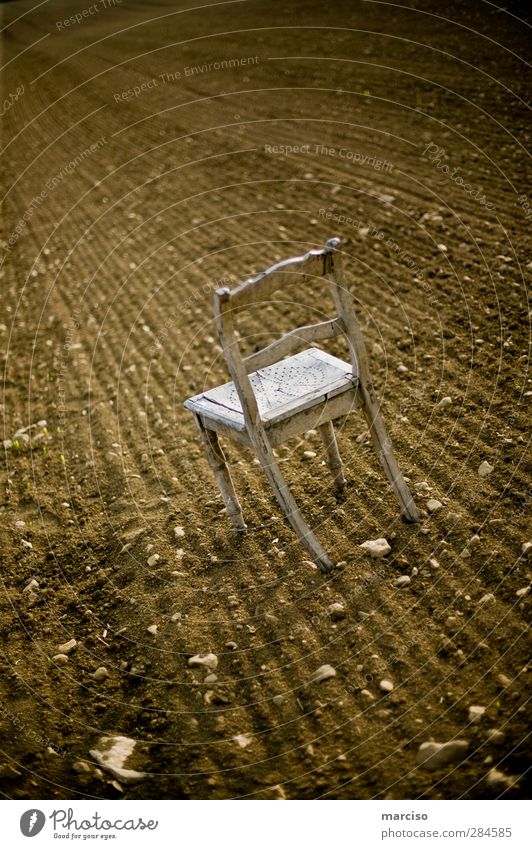 The lonely chair Chair Academic studies Art Exhibition Stage play Theatre Culture Earth Field Wood Sit Wait Patient Calm Modest Loneliness Perturbed