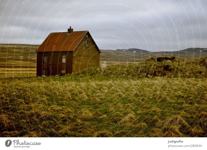 Iceland Environment Nature Landscape Grass Hill House (Residential Structure) Detached house Building Loneliness Stagnating Living or residing Colour photo