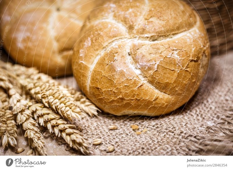 Fresh bread and wheat on a rustic background Food Dough Baked goods Bread Nutrition Eating Breakfast Lunch Dinner Buffet Brunch Organic produce Healthy Eating