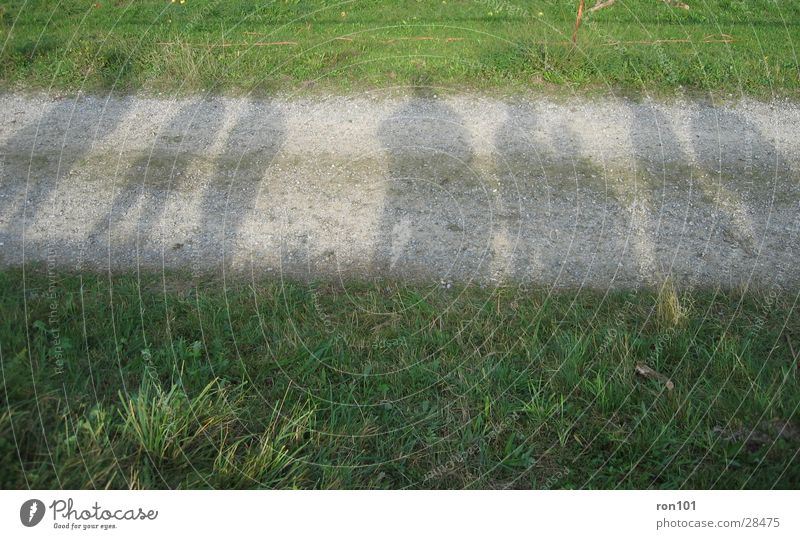 in the shadow Meadow Grass Group Shadow shadow people Lanes & trails Stone