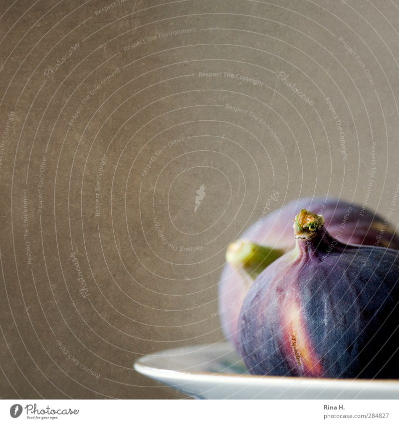 figs Food Fruit Nutrition Vegetarian diet Plate Fresh Delicious To enjoy Fig Colour photo Interior shot Deserted Shallow depth of field