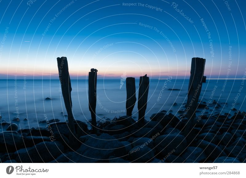 Dawn at the Cape Landscape Water Sky Cloudless sky Stars Horizon Sunrise Sunset Spring Waves Coast Beach Baltic Sea Cold Blue Pink Black Moody Loneliness