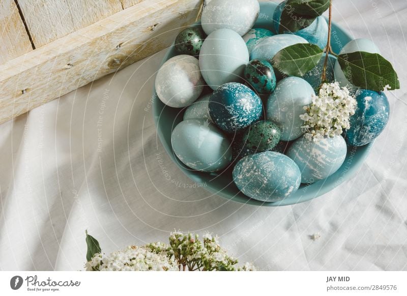 Blue easter eggs on the table. tea time Food Breakfast Beautiful Decoration Feasts & Celebrations Easter Christmas & Advent Flower Green White Tradition Egg