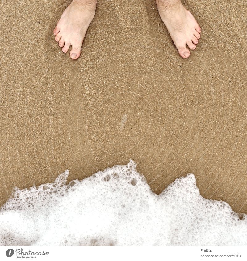 The feet and the sea Vacation & Travel Tourism Trip Summer Summer vacation Beach Ocean Human being Masculine Feet 1 Nature Sand Water Coast North Sea Stand Wait