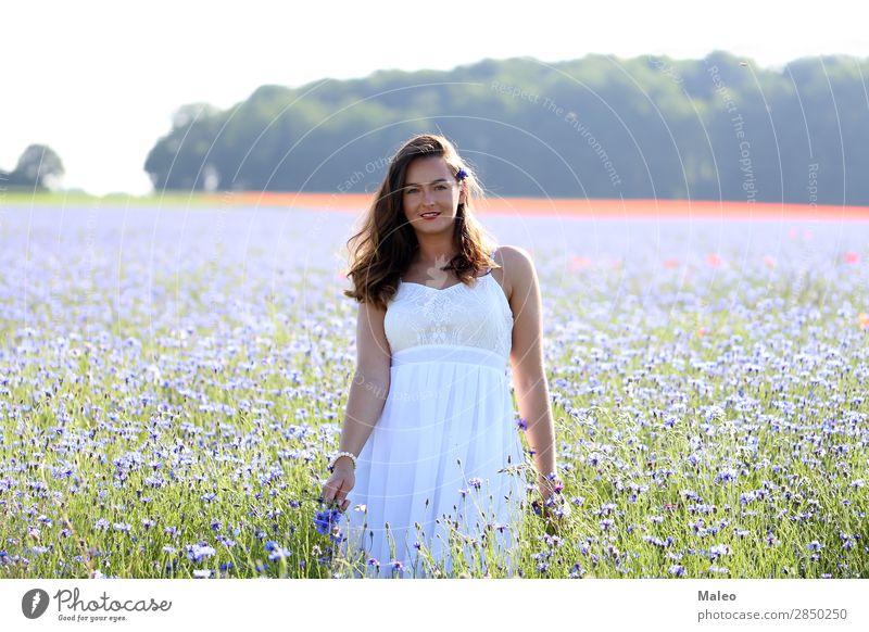 Portrait of a young woman on a cornflower field pretty Blue Girl Hair and hairstyles Happy portrait Woman Young woman Bouquet Field Model Nature Spring Summer