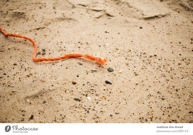 flotsam and jetsam Sand Coast Beach Environmental pollution String Rope Plastic Orange Detail Motionless Still Life Washed up Trash Colour photo Multicoloured