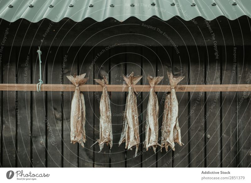 Dried fish hanging on wooden plant Fish drying Exterior shot Rural Landscape House (Residential Structure) Dry Tradition Food Row Healthy Delicious Fishery