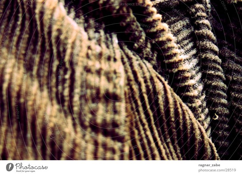 corduroy Brown Pants Furrow Stitching Macro (Extreme close-up) Close-up Detail