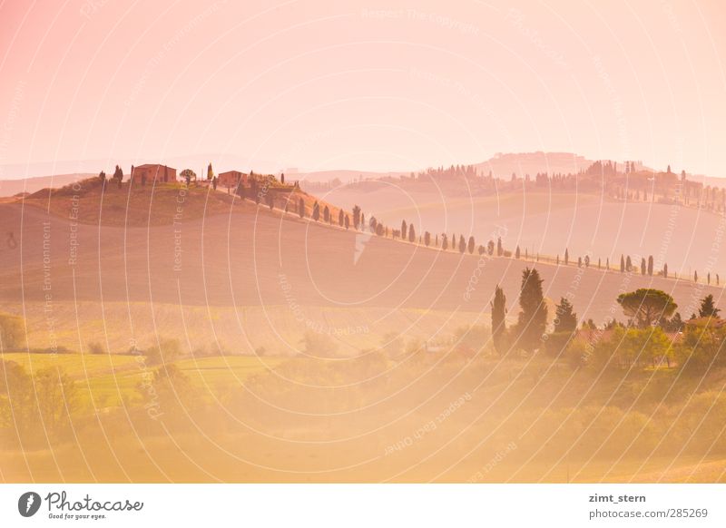 dreaming in tuscany Vacation & Travel Tourism Trip Far-off places Tuscany Italy Art Work of art Painting and drawing (object) Nature Landscape Sunrise Sunset
