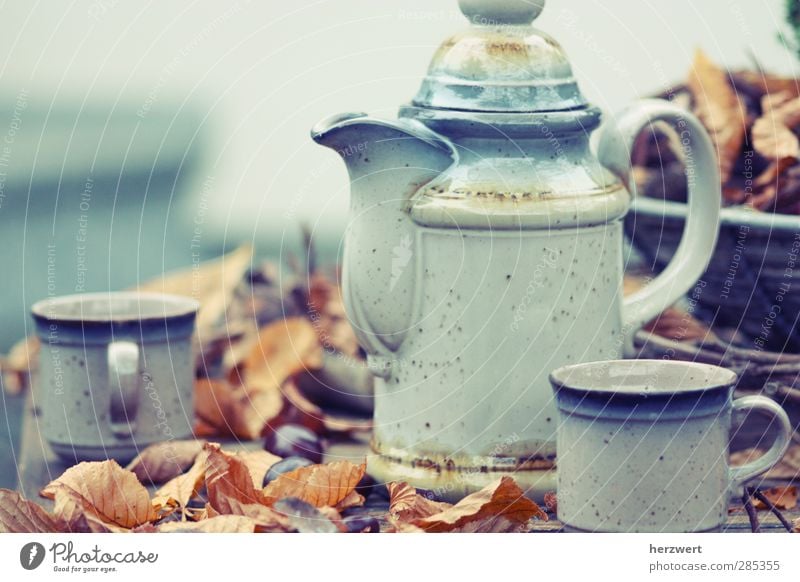 Would you like some tea? Tea Crockery Well-being Relaxation To enjoy Blue Brown Gray Moody tea time still life Autumn Colour photo Subdued colour Exterior shot
