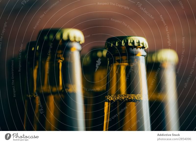 Group of beer bottles shoot with selective focus Alcoholic drinks ale Beer Beverage Blur Bottle Brewery Brick Cold Cool (slang) Craft (trade) Dark Drinking Foam