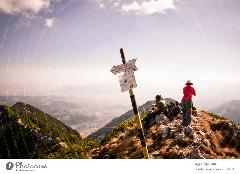 high-altitude hiking trail Environment Nature Landscape Plant Summer Climate Beautiful weather Rock Mountain Peak Siebenbürgen Romania Carpathians Observe