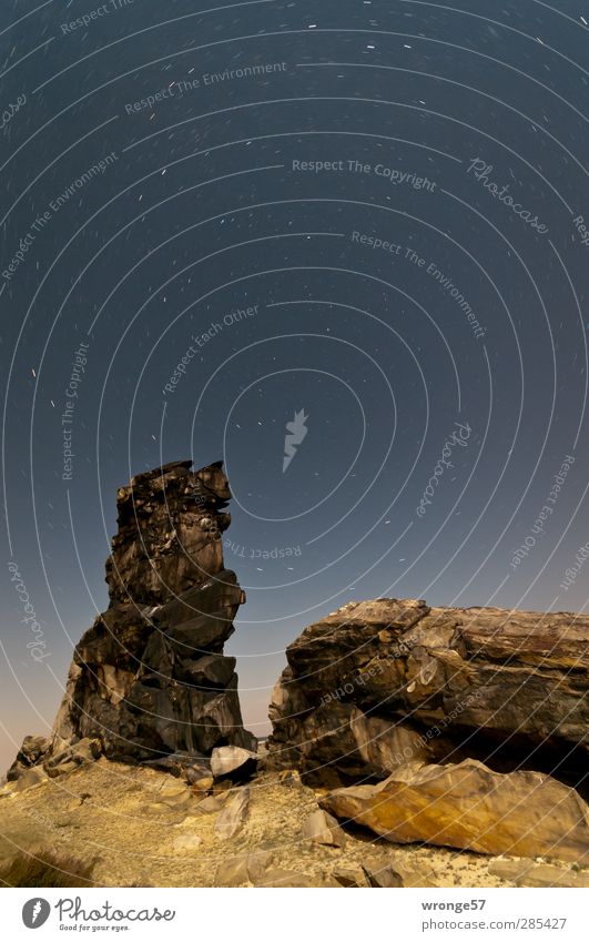 star trails Nature Landscape Sky Cloudless sky Night sky Stars Summer Rock Mountain Harz pre-resin Infinity Tripod Colour photo Subdued colour Exterior shot
