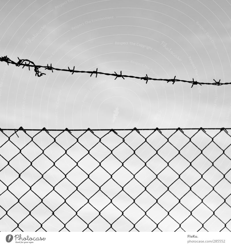 Keep out! Metal Rust Line Knot Threat Thin Thorny Gray Black Dangerous Mistrust Animosity Politics and state Bans Fence Border Border area Wire netting fence