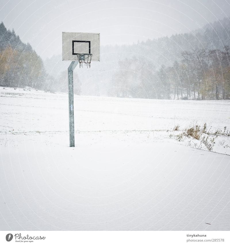 game over Ball sports Basketball Basketball arena Landscape Winter Storm Snowfall Meadow Forest Cold Gloomy Loneliness End Boredom Subdued colour Exterior shot