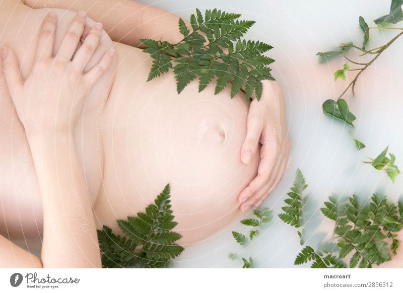 pregnancy - a Royalty Free Stock Photo from Photocase