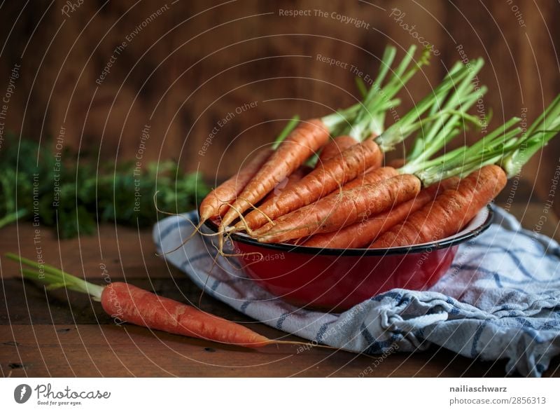 Still Life with Carrots Food Vegetable Nutrition Organic produce Vegetarian diet Crockery Bowl Dish towel Wood Metal Firm Fresh Healthy Delicious Natural Retro