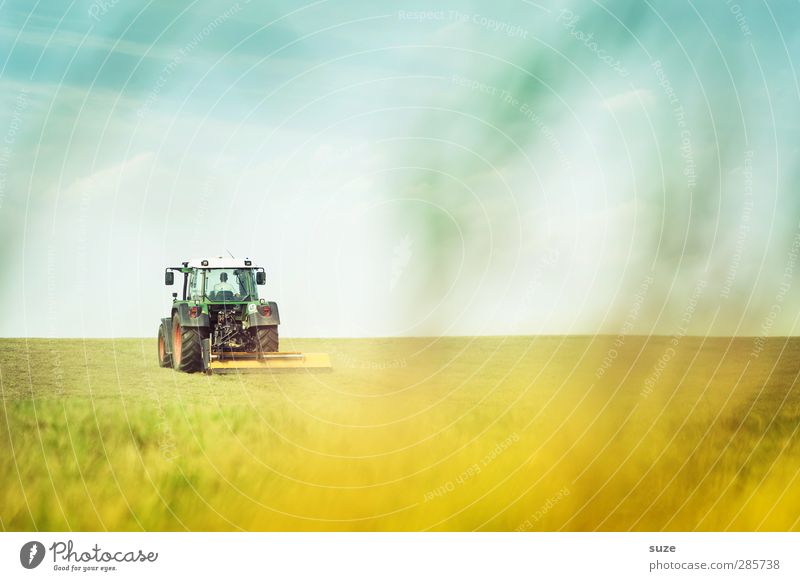farm work Work and employment Agriculture Forestry Machinery Technology Environment Nature Landscape Elements Earth Sky Horizon Summer Beautiful weather Grass