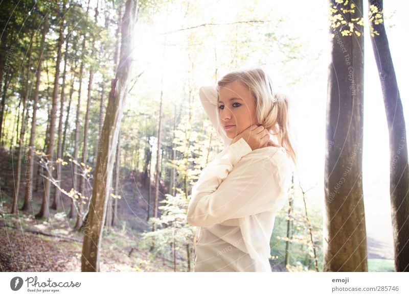 autumn sun Feminine Young woman Youth (Young adults) 1 Human being 18 - 30 years Adults Environment Nature Forest Blonde Beautiful Natural Colour photo
