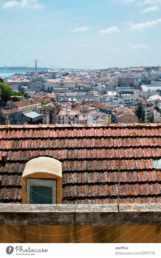 Around the World Lisboa Lisbon Portugal Town Capital city Downtown Old town Skyline Roof Esthetic Colour photo