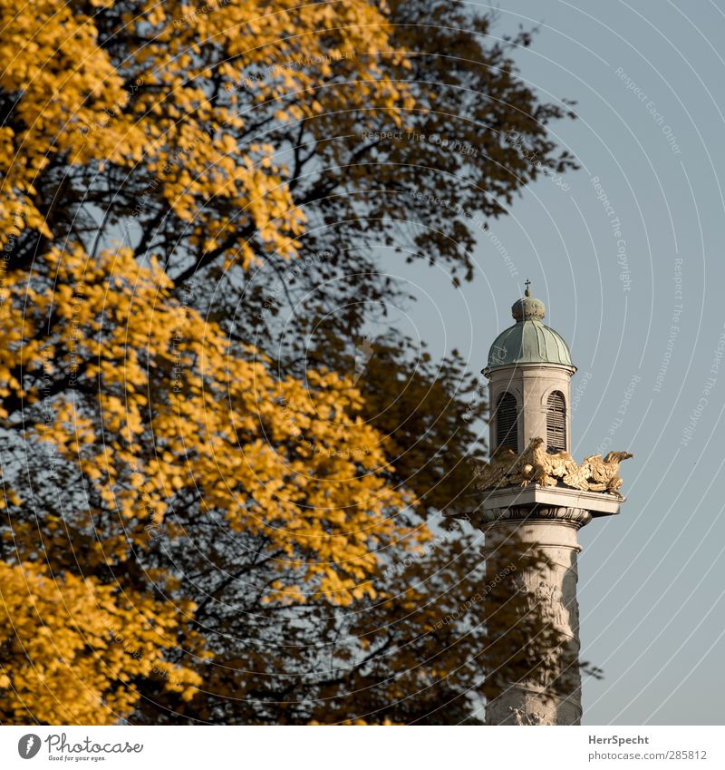 Autumn now also at Karlsplatz Beautiful weather Tree Leaf Park Vienna Austria Capital city Downtown Church Manmade structures Building Architecture