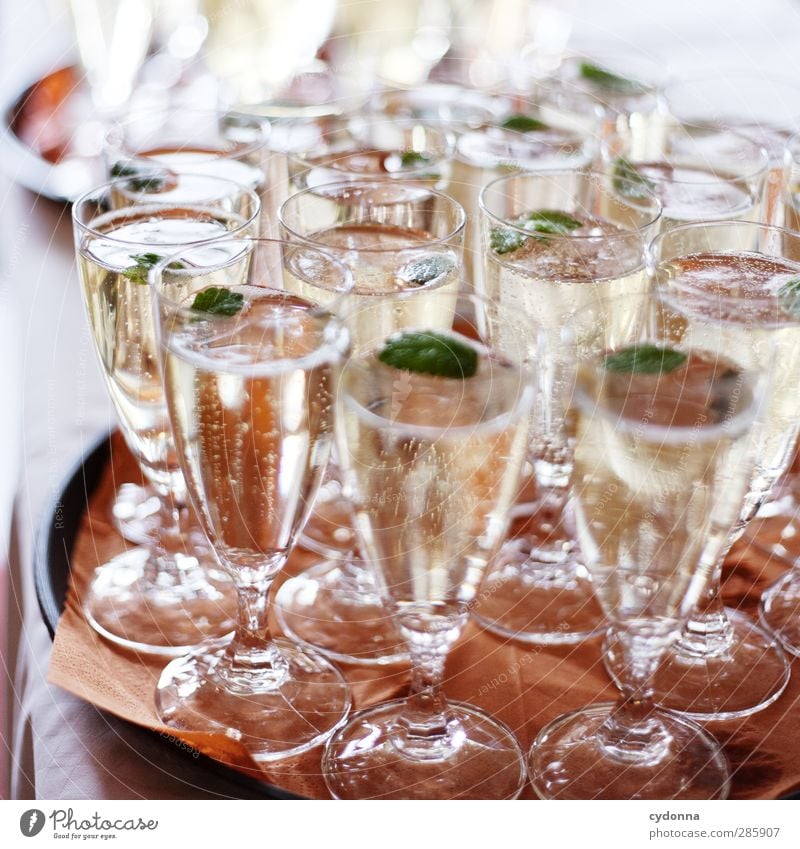 Champagne for everyone! Beverage Alcoholic drinks Sparkling wine Prosecco Champagne glass Lifestyle Luxury Party Event Feasts & Celebrations Wedding Experience
